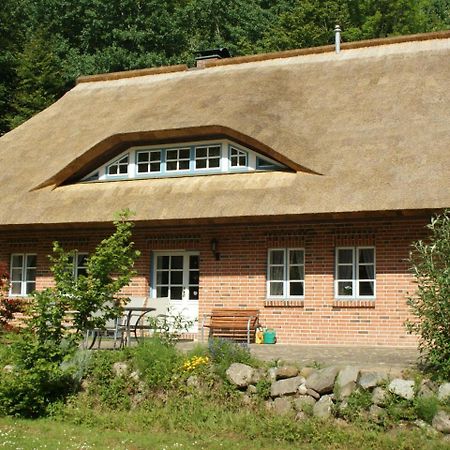 Premiumwohnung Im Biosphaerenreservat Vilmnitz Екстериор снимка